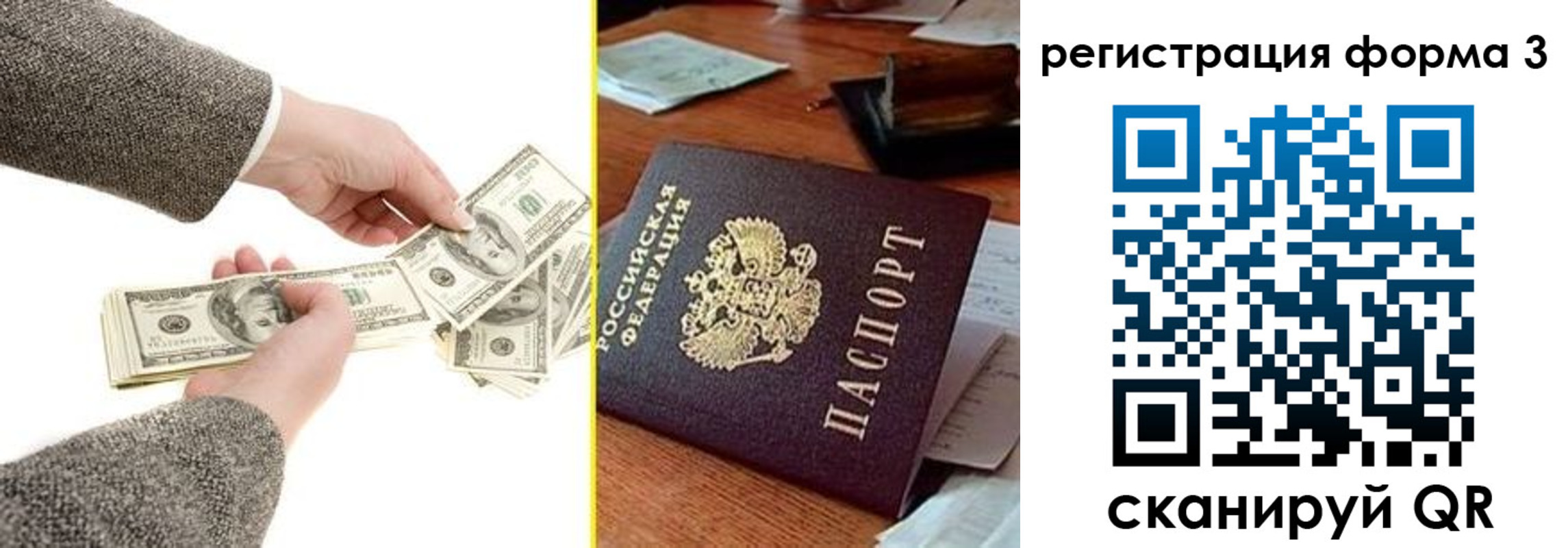 прописка гарантия в Гвардейске